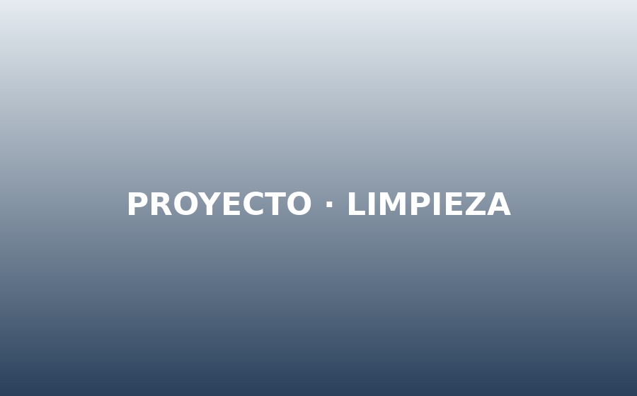 Limpieza profesional